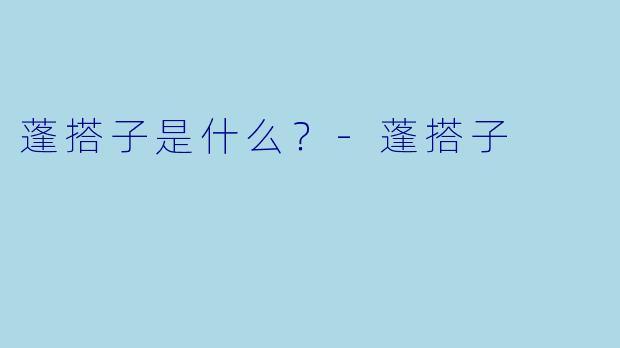 蓬搭子是什么？-蓬搭子