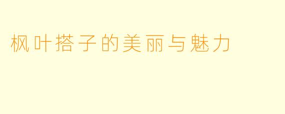 枫叶搭子的美丽与魅力