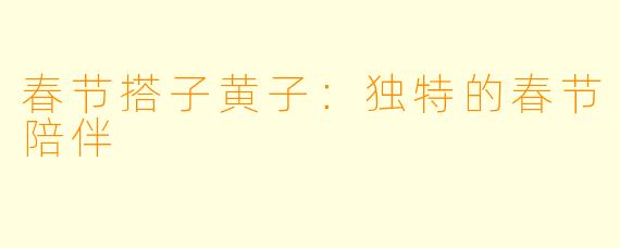 春节搭子黄子：独特的春节陪伴