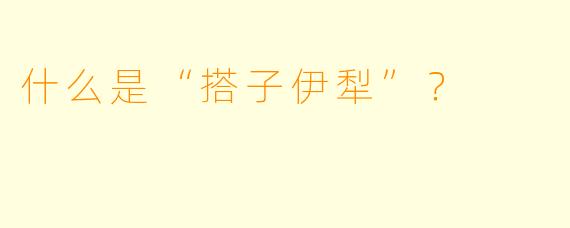 什么是“搭子伊犁”？