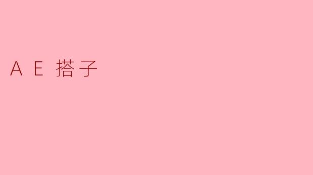AE搭子