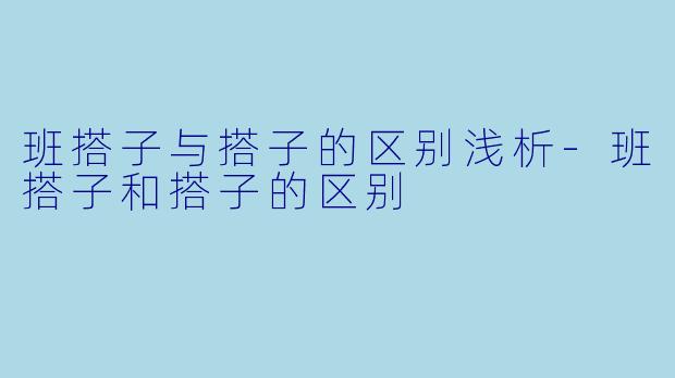 班搭子与搭子的区别浅析-班搭子和搭子的区别