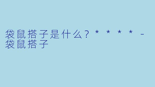 袋鼠搭子是什么？****
