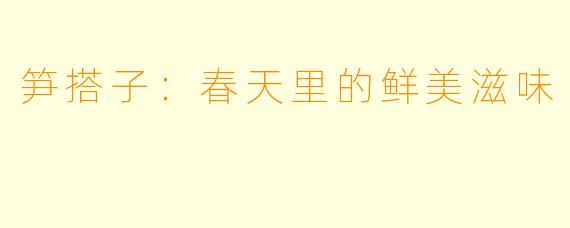 笋搭子：春天里的鲜美滋味