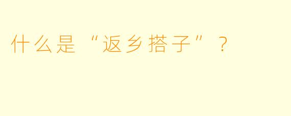什么是“返乡搭子”？  