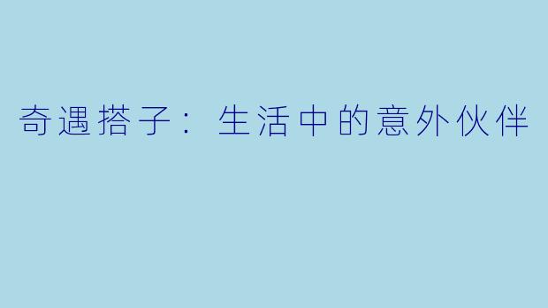奇遇搭子：生活中的意外伙伴