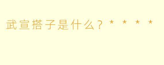 武宣搭子是什么？****