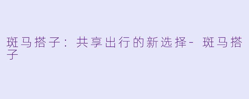 斑马搭子：共享出行的新选择-斑马搭子