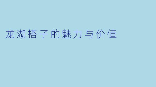 龙湖搭子的魅力与价值
