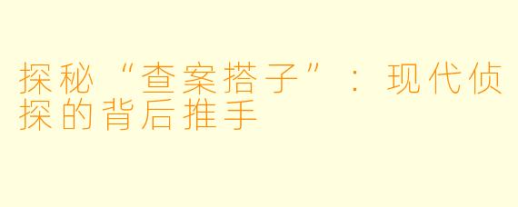 探秘“查案搭子”：现代侦探的背后推手