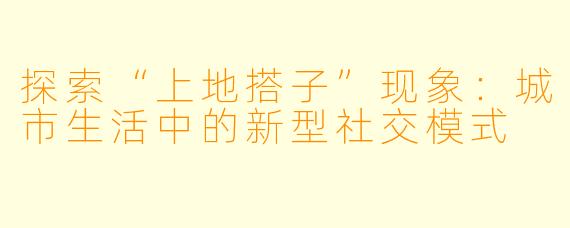 探索“上地搭子”现象：城市生活中的新型社交模式