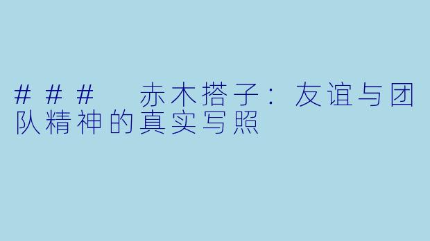 ### 赤木搭子：友谊与团队精神的真实写照