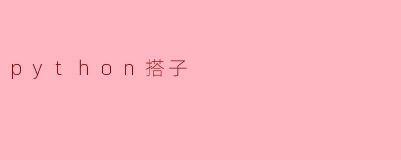 什么是Python搭子?**