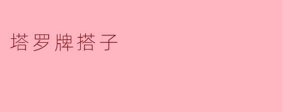 塔罗牌搭子
