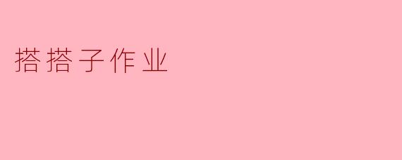 搭搭子作业