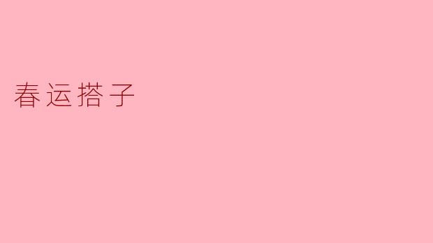 春运搭子:温暖旅途中的陌生朋友