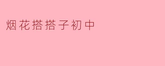 烟花搭搭子初中：点燃青春的梦想之旅