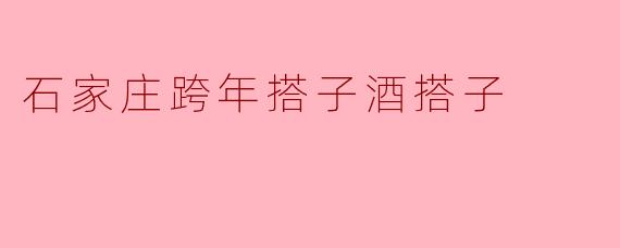 石家庄跨年搭子酒搭子