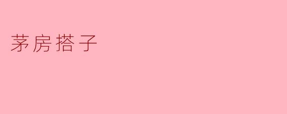茅房搭子:生活中的默契与温暖
