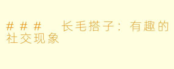 ### 长毛搭子:有趣的社交现象