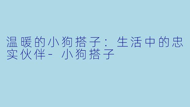 温暖的小狗搭子：生活中的忠实伙伴-小狗搭子