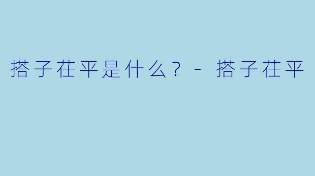 搭子茌平是什么？-搭子茌平