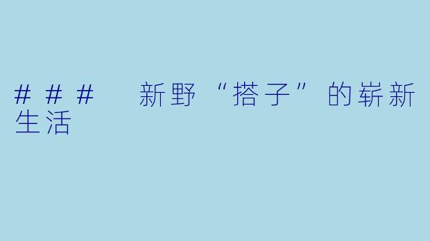 ### 新野“搭子”的崭新生活