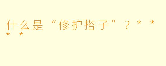 什么是“修护搭子”?****