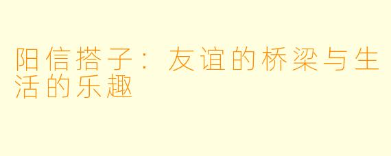 阳信搭子：友谊的桥梁与生活的乐趣