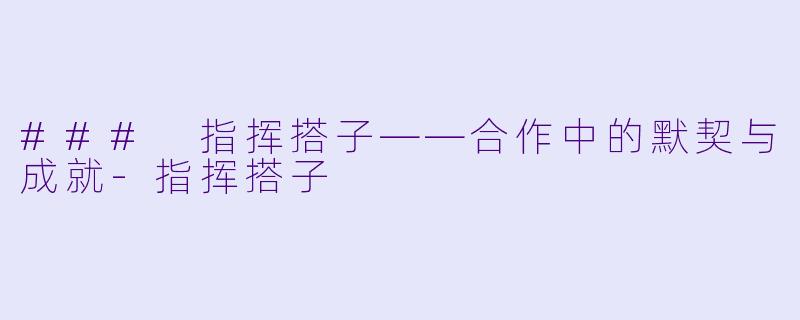 ### 指挥搭子——合作中的默契与成就