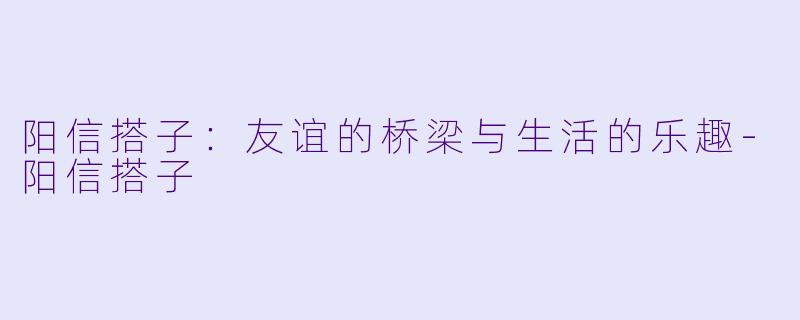 阳信搭子:友谊的桥梁与生活的乐趣