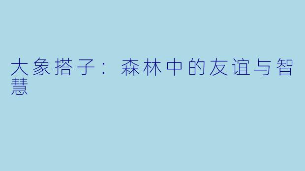 大象搭子:森林中的友谊与智慧