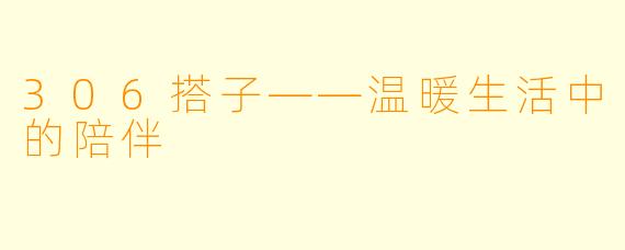 306搭子——温暖生活中的陪伴