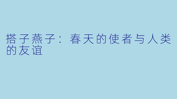 搭子燕子：春天的使者与人类的友谊
