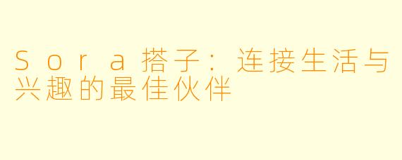 Sora搭子：连接生活与兴趣的最佳伙伴