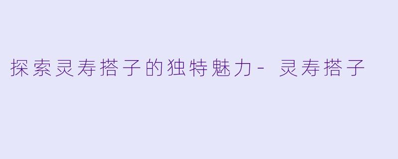 探索灵寿搭子的独特魅力