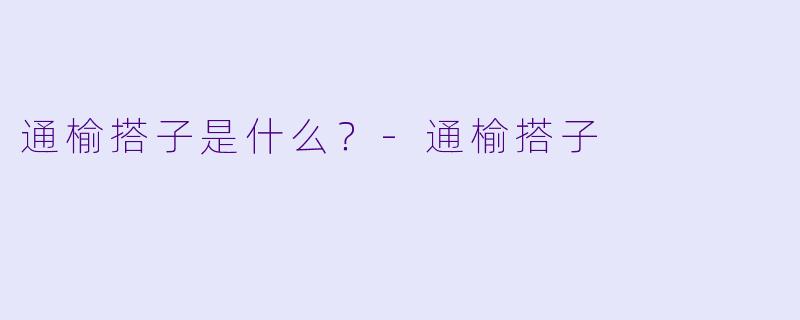 通榆搭子是什么？