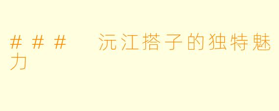### 沅江搭子的独特魅力