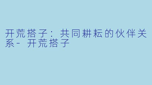 开荒搭子：共同耕耘的伙伴关系-开荒搭子