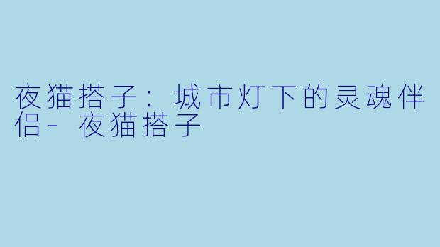夜猫搭子：城市灯下的灵魂伴侣-夜猫搭子
