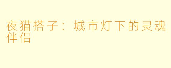 夜猫搭子：城市灯下的灵魂伴侣