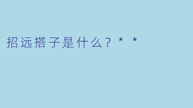 招远搭子是什么？**