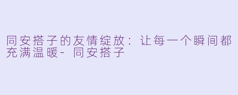 同安搭子的友情绽放:让每一个瞬间都充满温暖