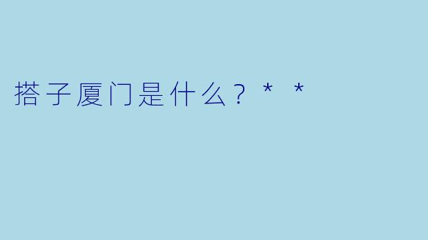 搭子厦门是什么？**