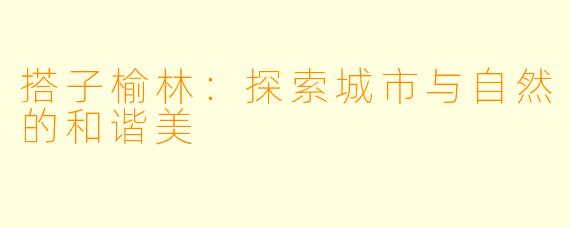 搭子榆林：探索城市与自然的和谐美
