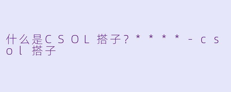什么是CSOL搭子？****
