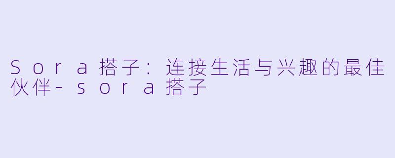 Sora搭子：连接生活与兴趣的最佳伙伴-sora搭子