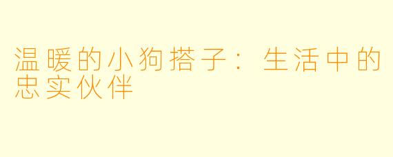 温暖的小狗搭子:生活中的忠实伙伴