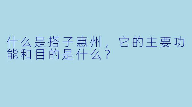什么是搭子惠州,它的主要功能和目的是什么?
