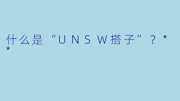 什么是“UNSW搭子”?**